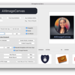 AXImageCanvas: El Canvas Potenciado con Enlace a Bases de Datos